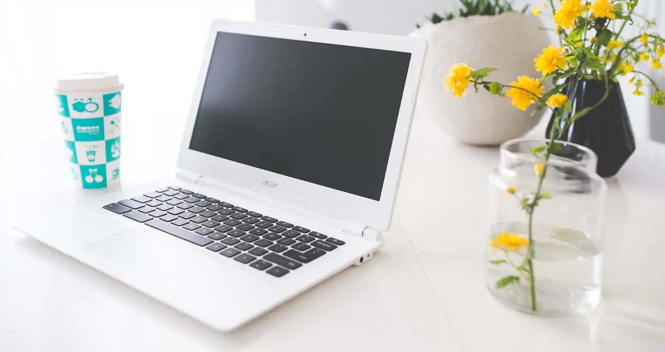 Ремонт ноутбуков Acer во Фрязино
